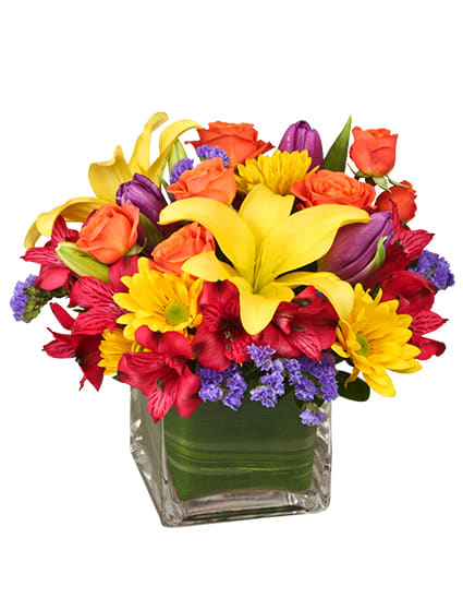 Sun Infused Flowers