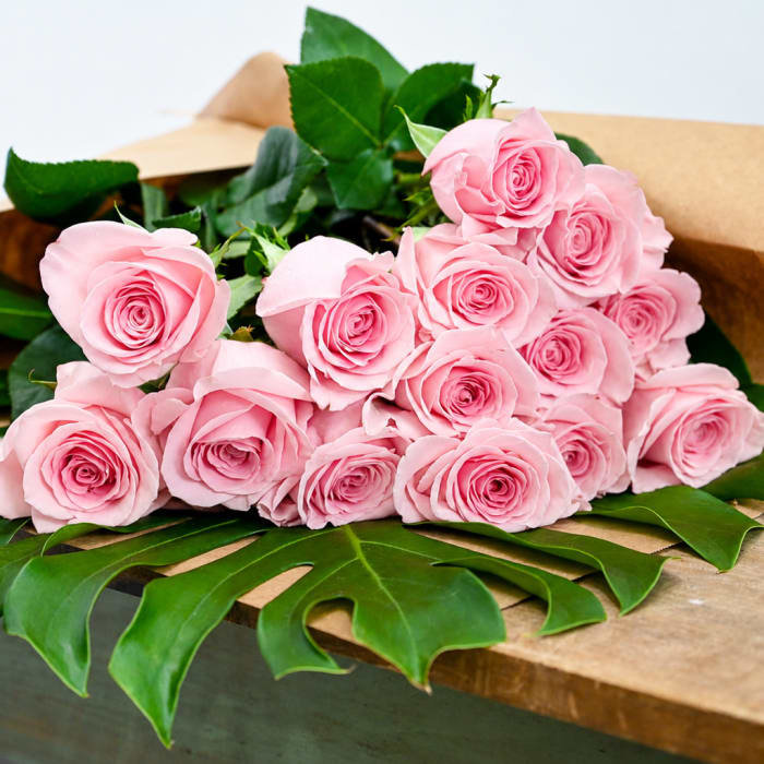 Pink Roses