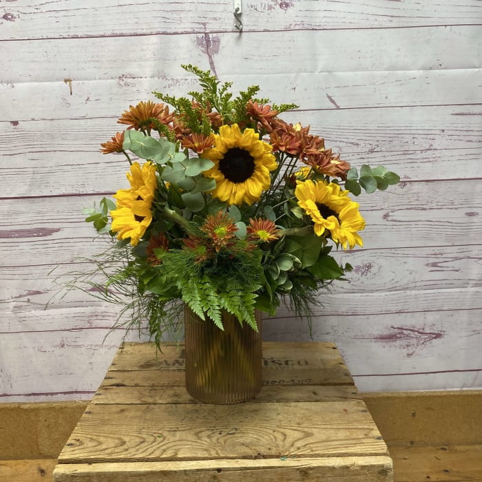 Sunflower Surprise