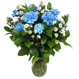 Dozen Blue Carnations Arranged