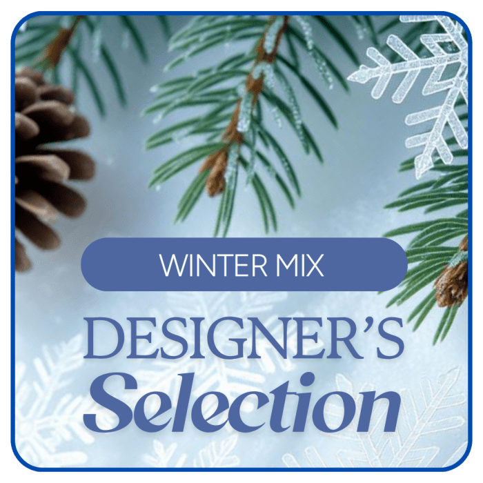 Designer's Choice Winter Flowers