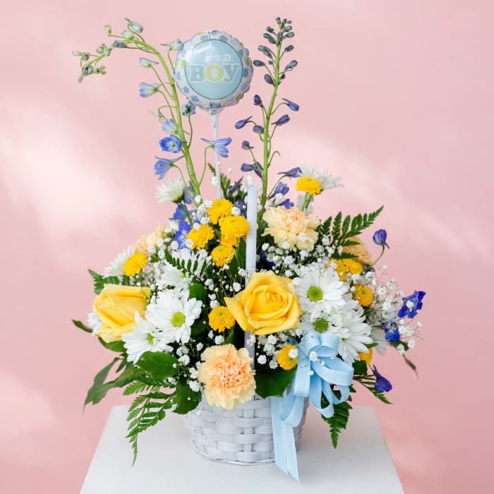 Welcome Baby Girl or Boy Basket