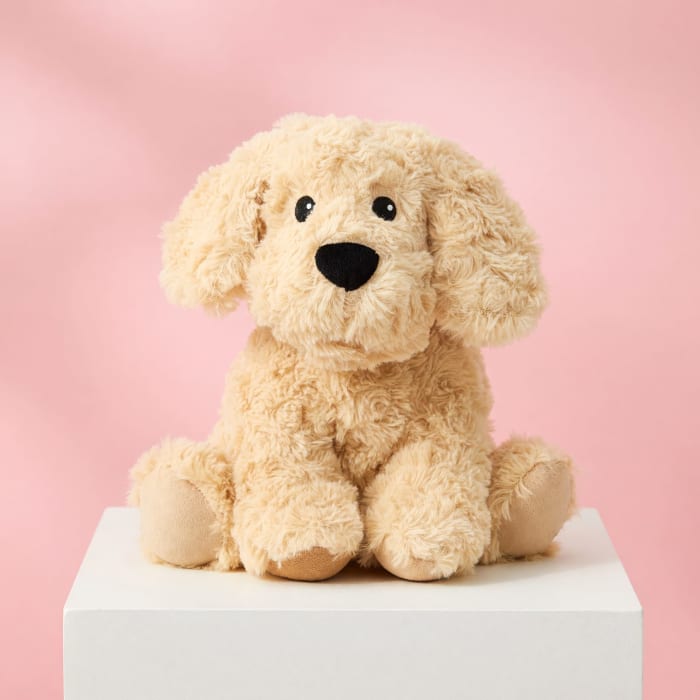 Golden Dog Warmie