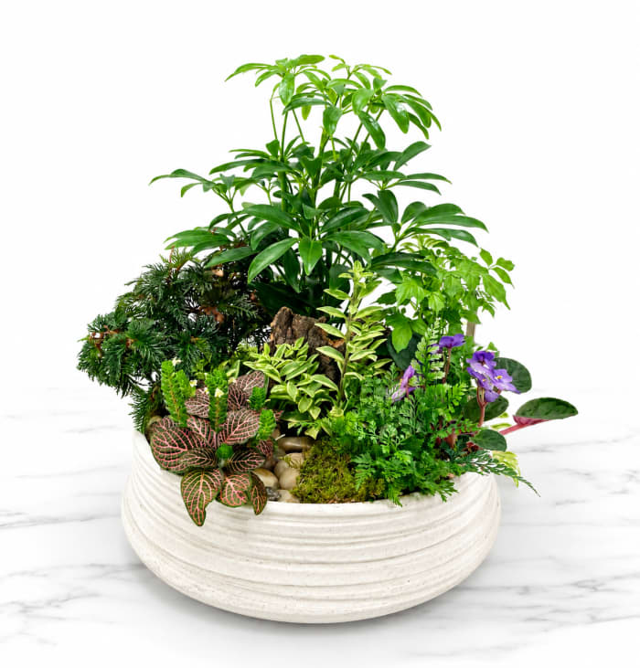 Custom Dish Garden