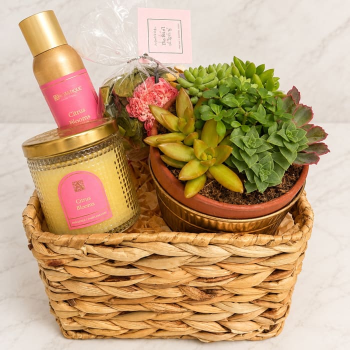 Succulents & Aromatique Gift Basket