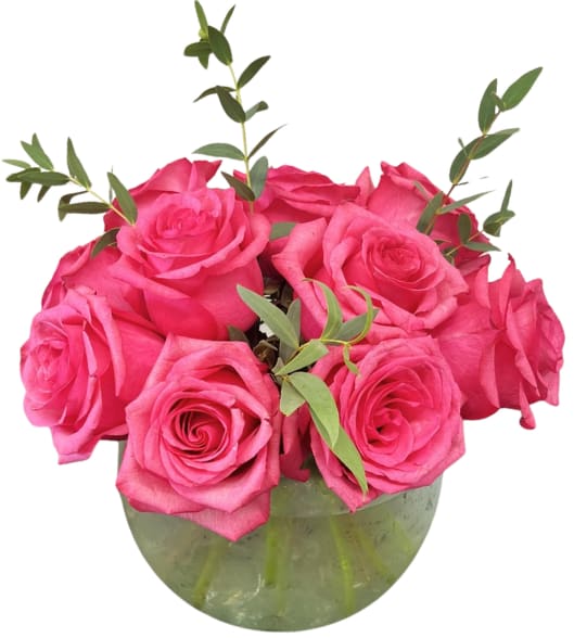 Rose No. 12 R-236