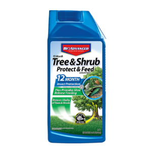 BioAdvanced 12 Month Tree & Shrub Protect & Feed