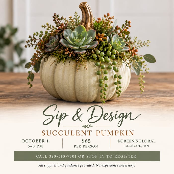 Succulent Pumpkin Class