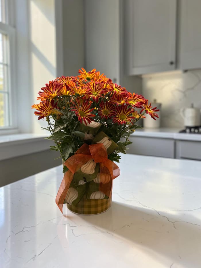 6" FALL MUM IN CERAMIC CONTANIER