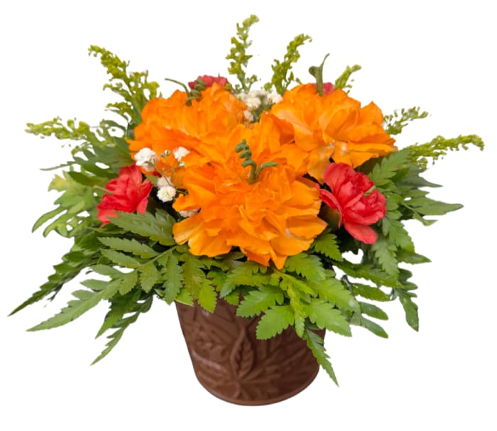 Mini Pumpkin Patch IF-5049