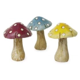 Fairy Small Polka Mushroom