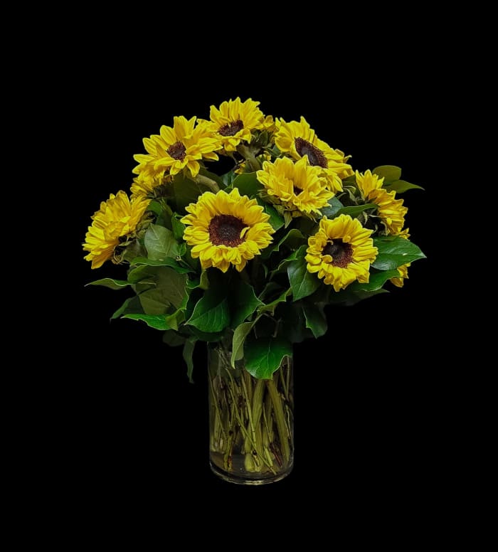 AM-15 Arreglo de girasoles