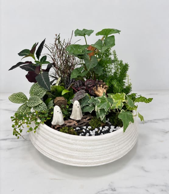 Haunted Dish Garden