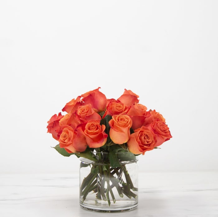 Simply Roses