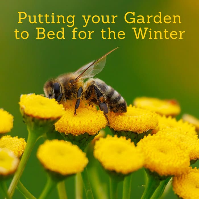 Pollinator Workshop