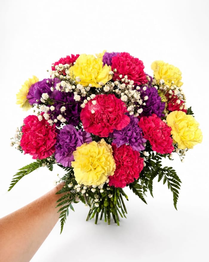 Mixed Carnations in a Vase