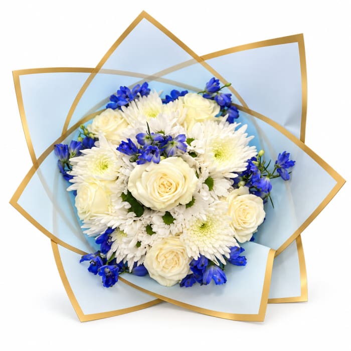 Blue and White Ramo