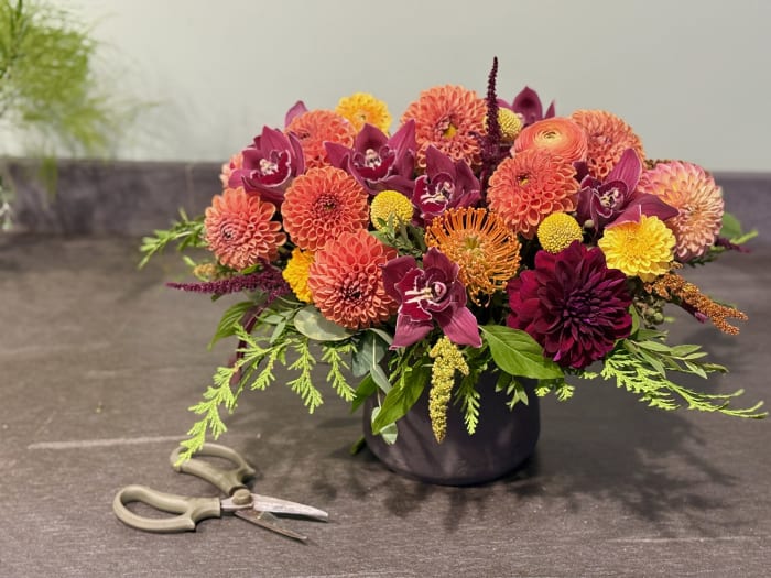 Dahlia Field