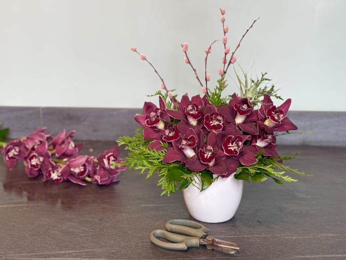 Cymbidium Enchanting