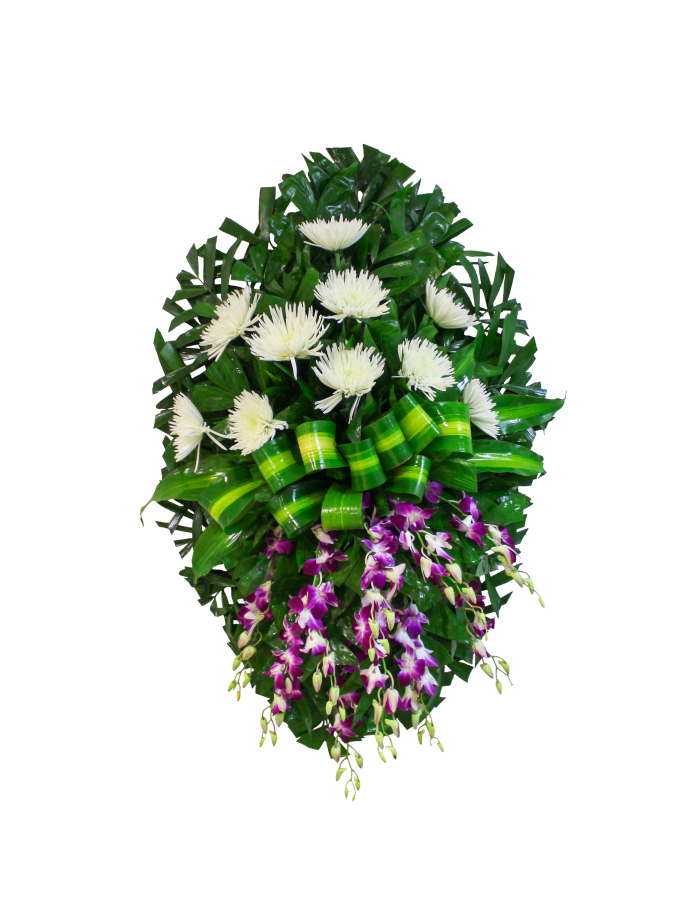 CR-10 Corona de spiders y orquídeas dendrobium