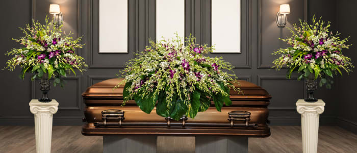 CV-22 Set funeral de orquídeas dendrobium