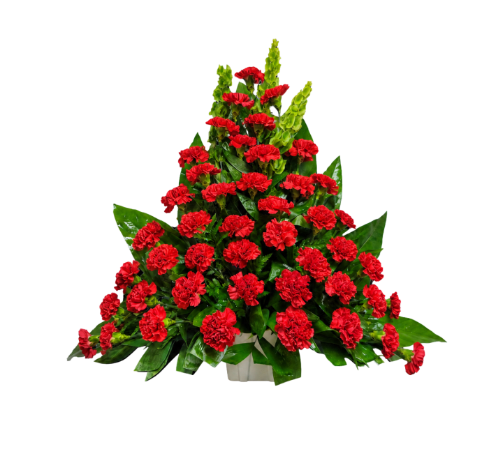 CN-02 Canasta funeral de claveles y campana de Irlanda