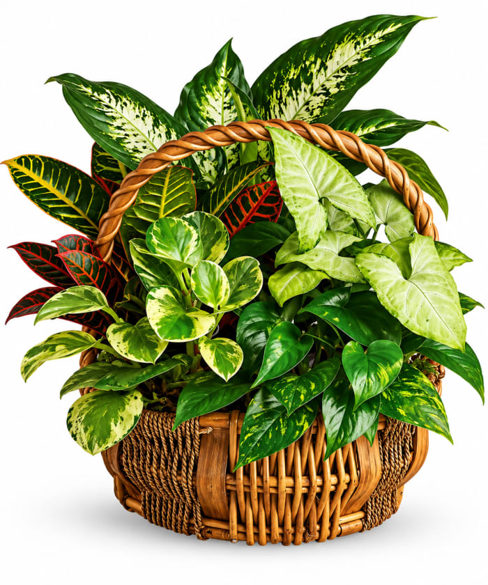 Emerald Garden Basket