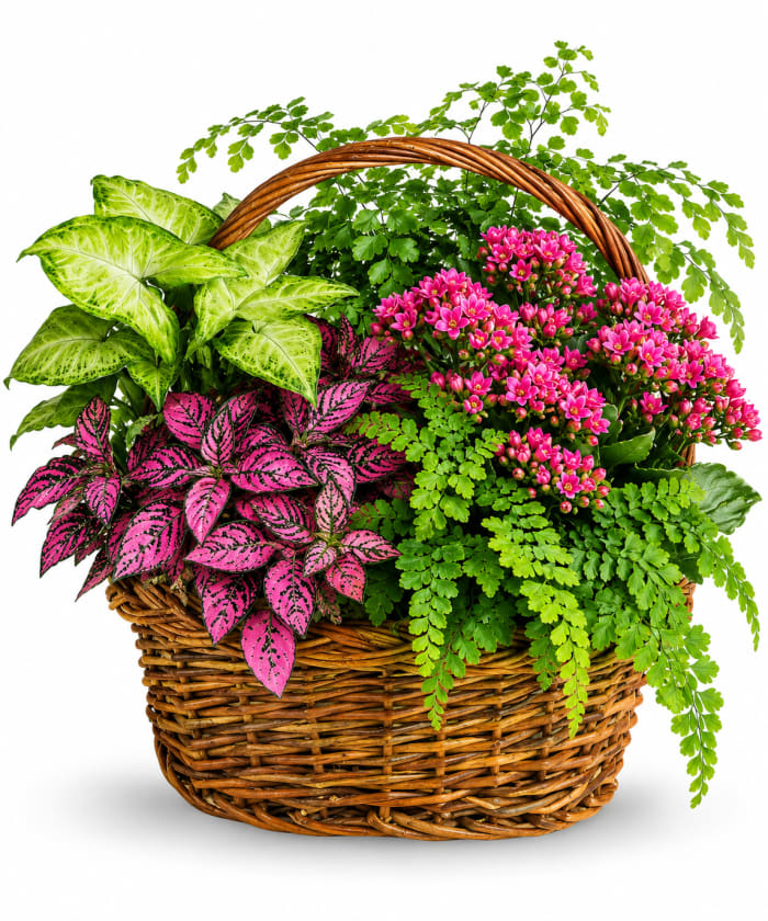 Secret Garden Basket