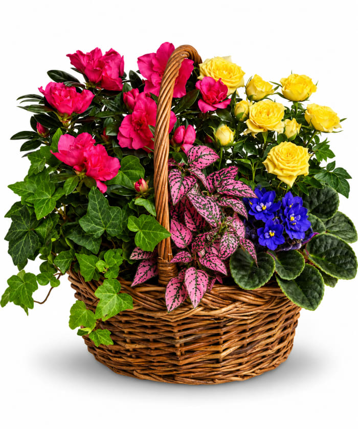Blooming Garden Basket