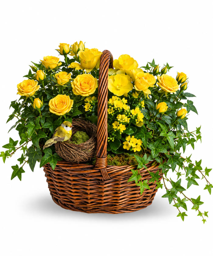 Yellow Trio Basket