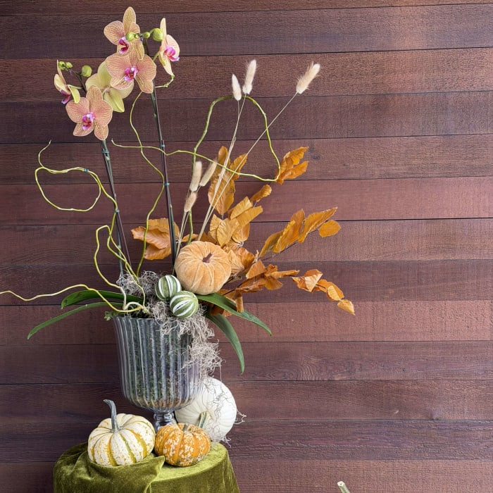 Autumn Orchid