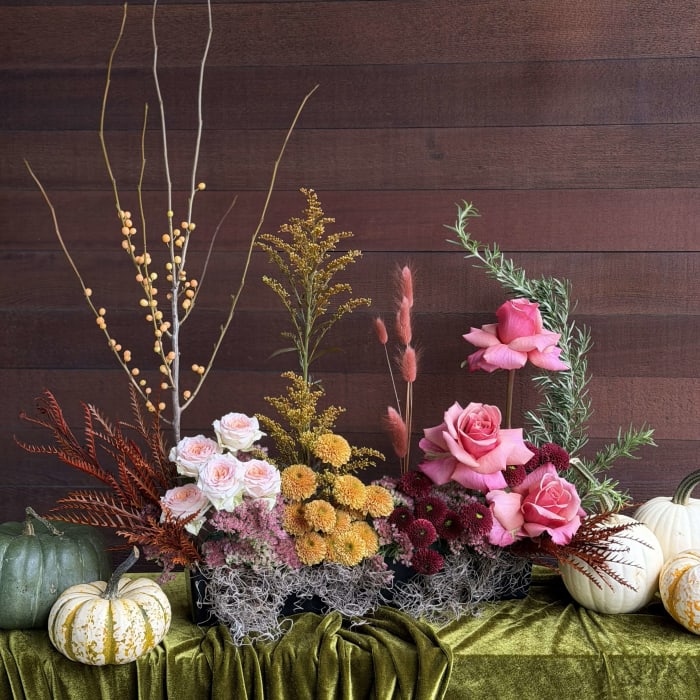 Autumn Spectrum