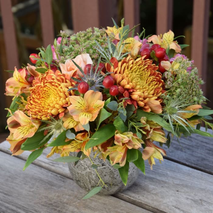 Fall Mums