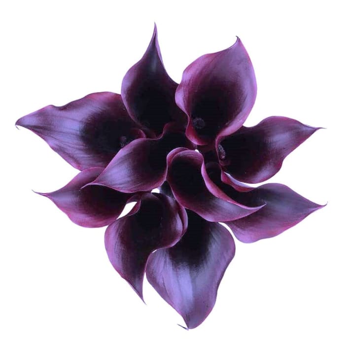 Mini Callas