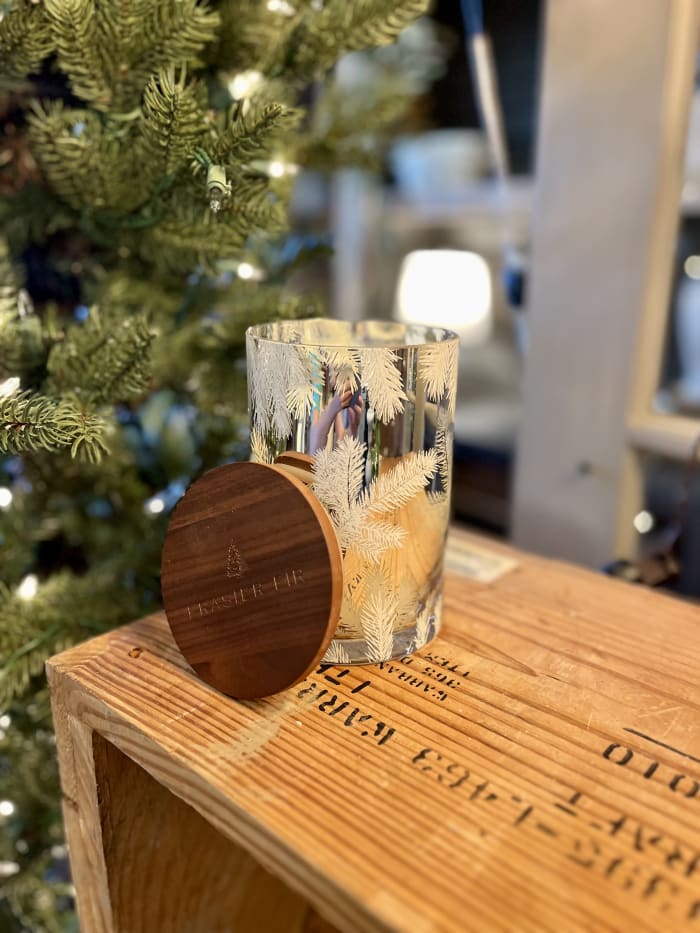 Frasier Fir Medium