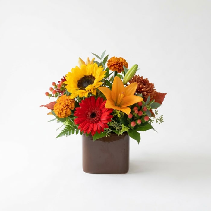 Harvest Radiance