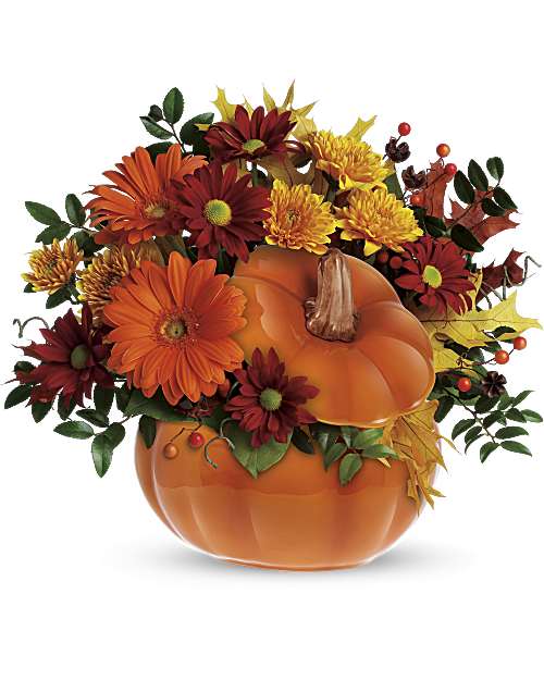Pumpkin delight EBF-617