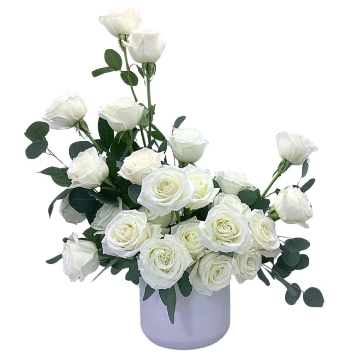2 Dozen White Roses