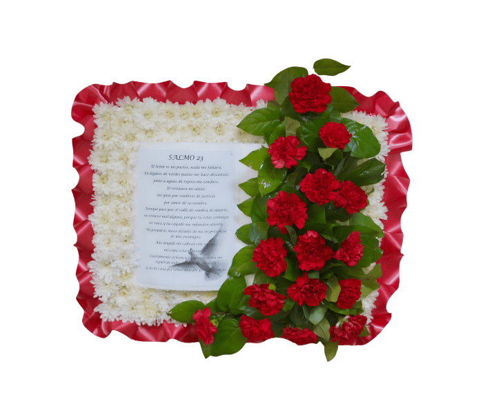 PL-01 Biblia de claveles y pompones