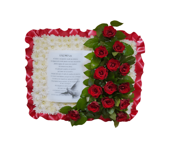 PL-03 Biblia de rosas y pompones