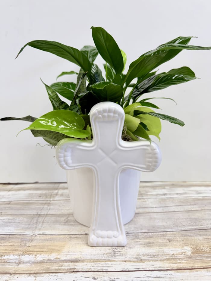 Peaceful Condolences Dishgarden