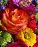 Bright Mix Boutonniere