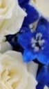 Blue Prom Boutonniere