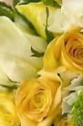 Yellow Prom Boutonniere