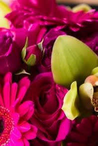 Hot Pink Boutonniere