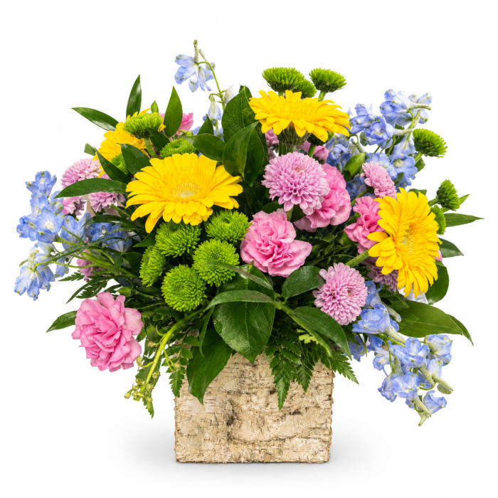 Vibrant Birch Box Bouquet