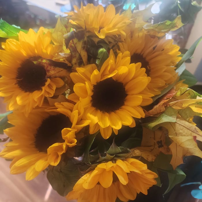 Sunny Sunflowers