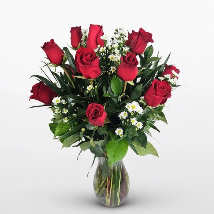 Dz. Red premium roses