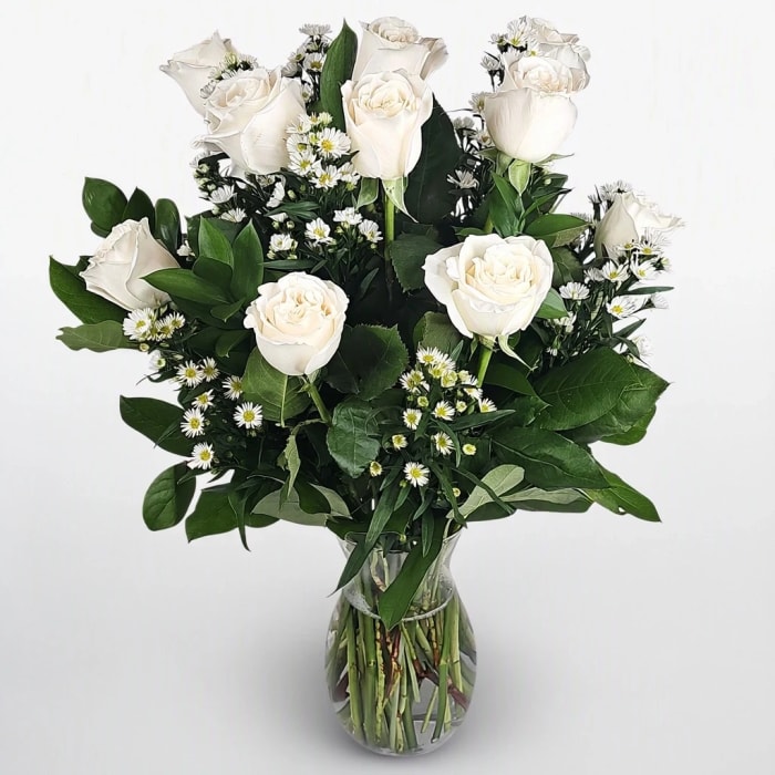 Dz white premium Roses