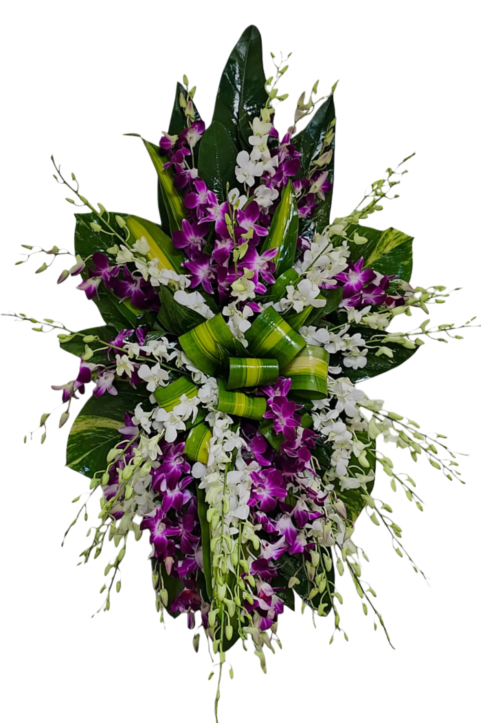 CR-28 Corona de orquídeas